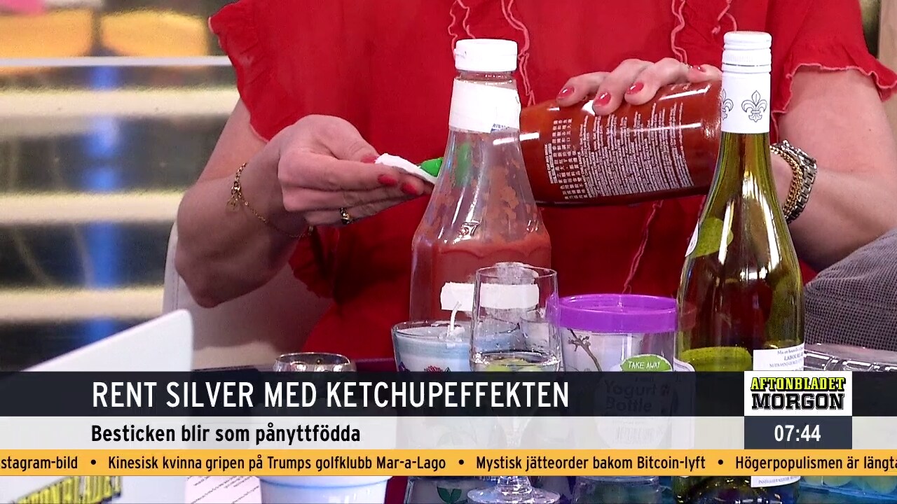 Husmorstips | Aftonbladet Myggmedel, gin och tonic, parfym och elefantbajs – biologen