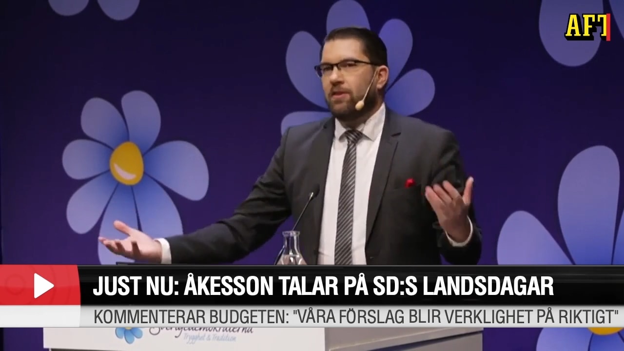 Jimmie Åkesson u2013 nyheter om partiledaren för Sverigedemokraterna