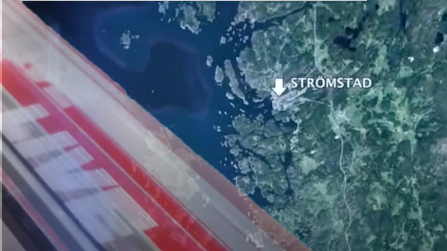 Man vansinneskörde in i trädgård u2013 döms