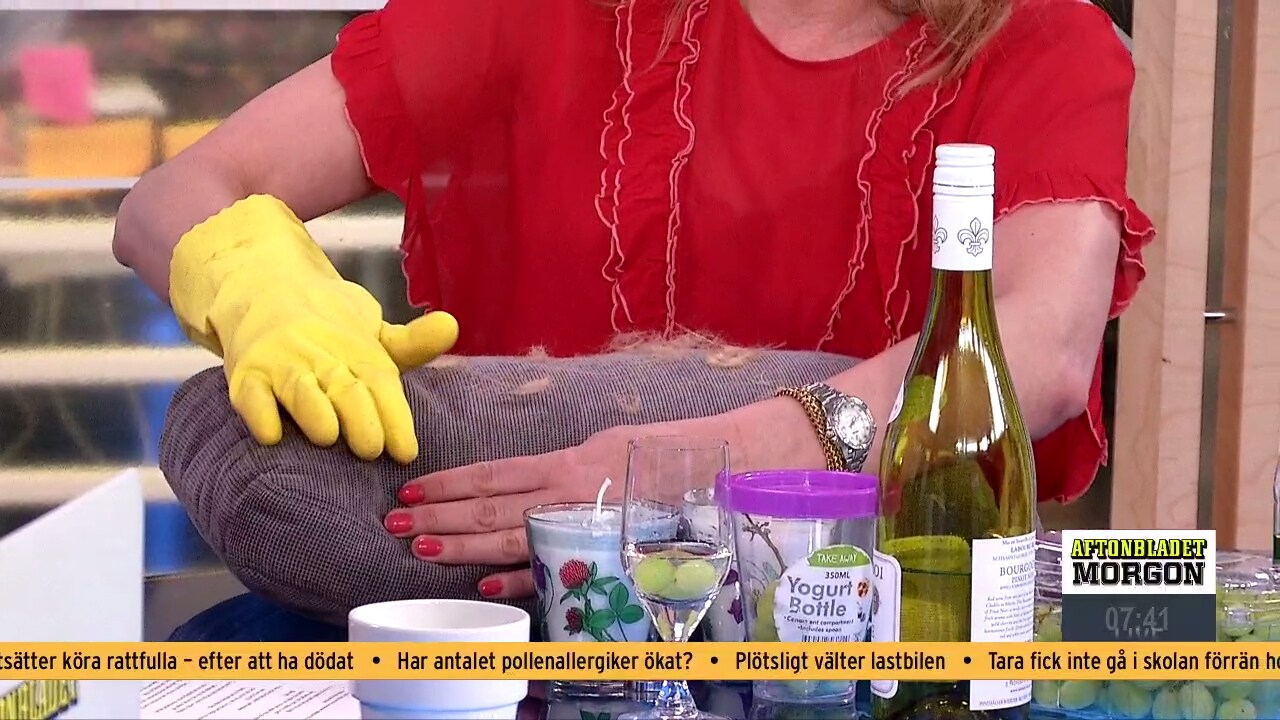 Husmorstips | Aftonbladet Myggmedel, gin och tonic, parfym och elefantbajs – biologen