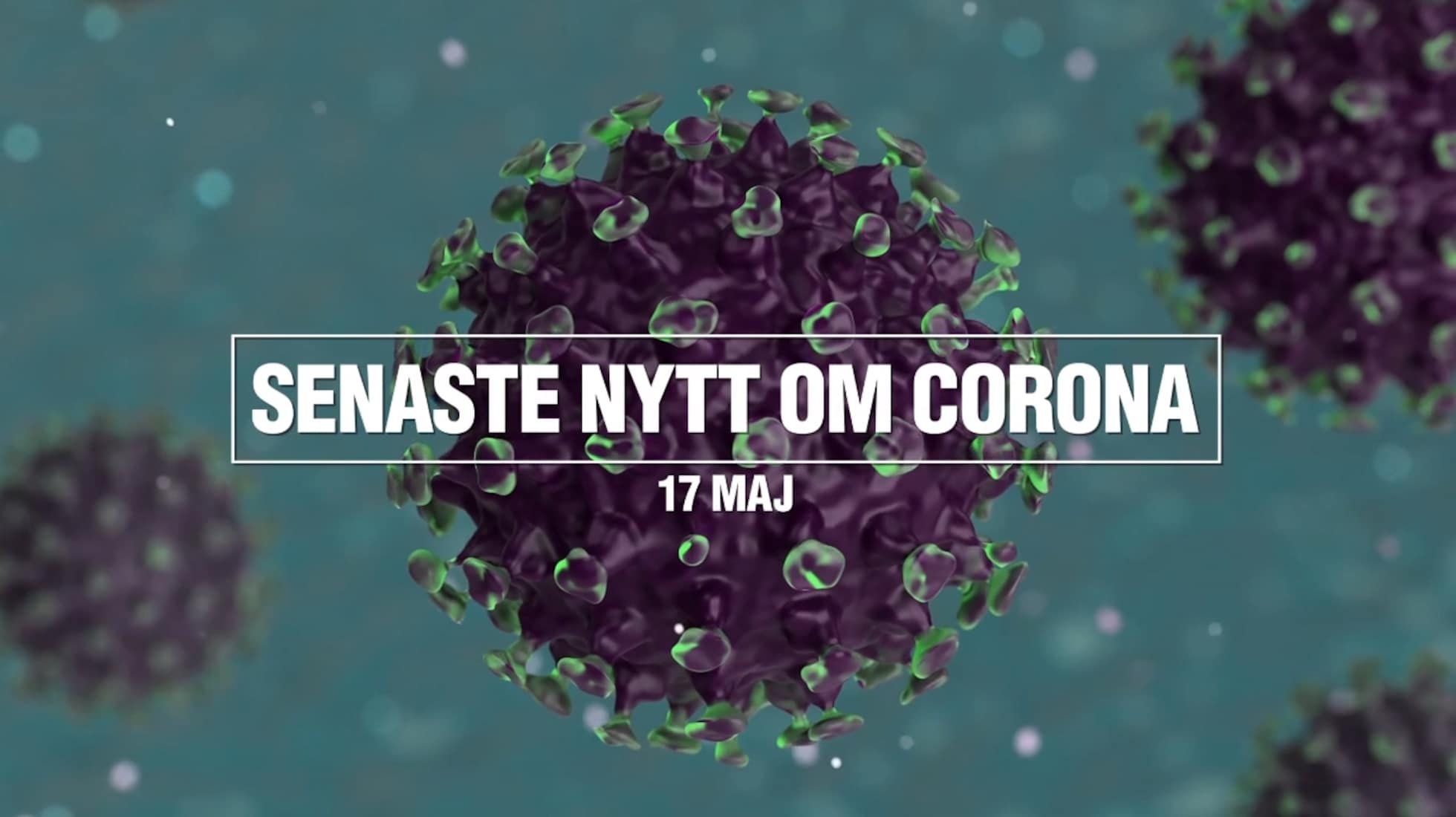 Senaste nytt om coronaviruset – 17 maj