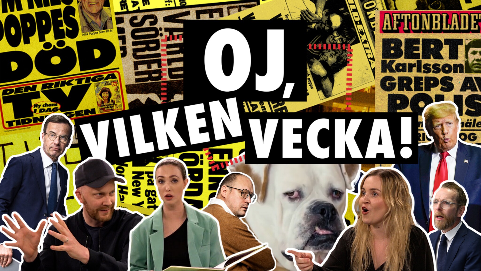 Oj, vilken vecka! – I maktens korridorer