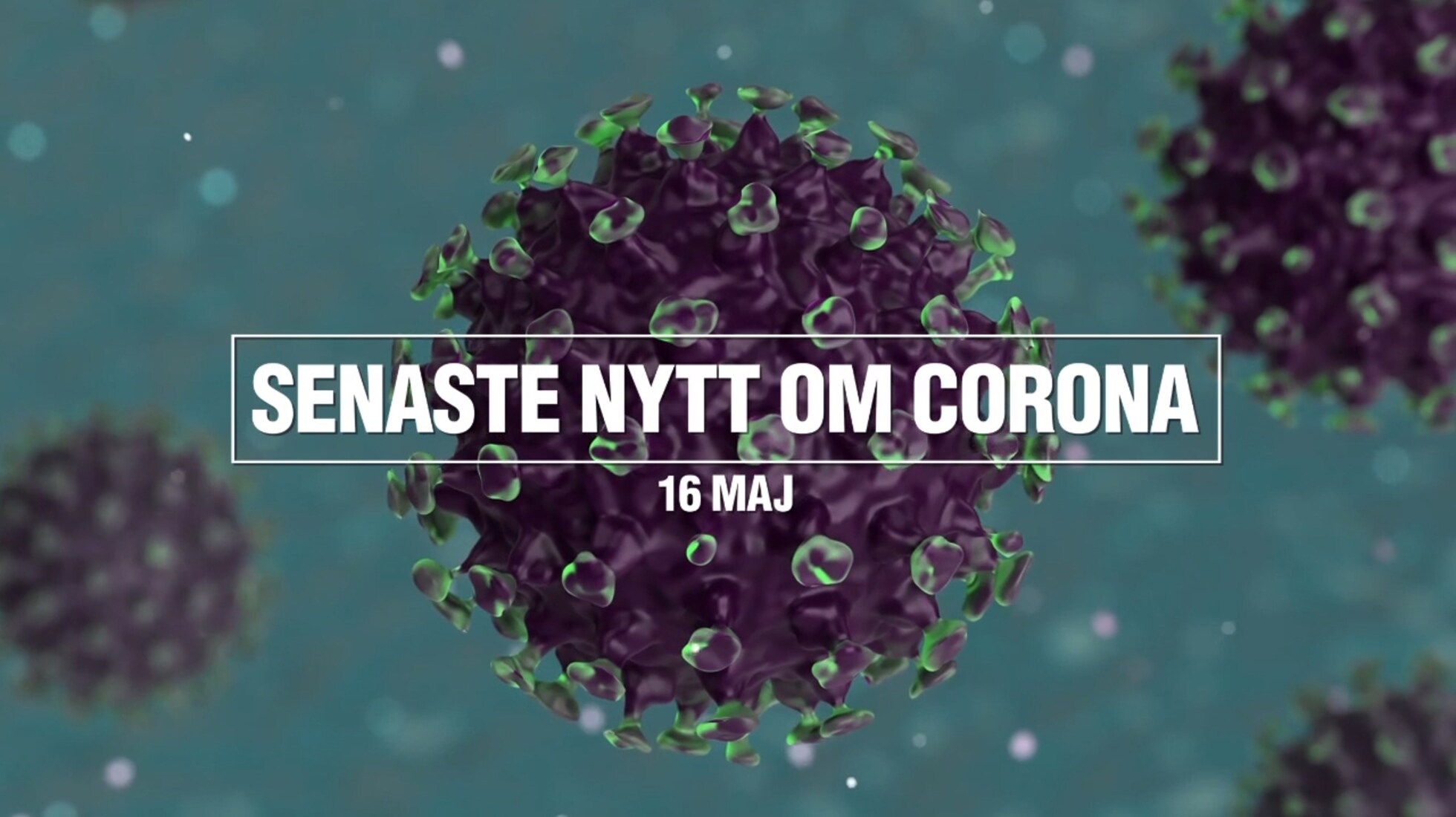 Senaste nytt om coronaviruset – 16 maj