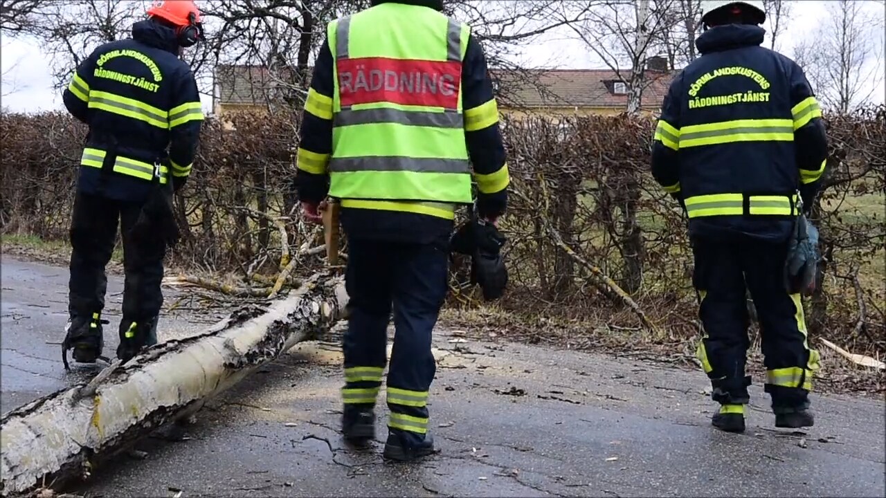 "Träd har fallit över ledningar och orsakat bränder ...